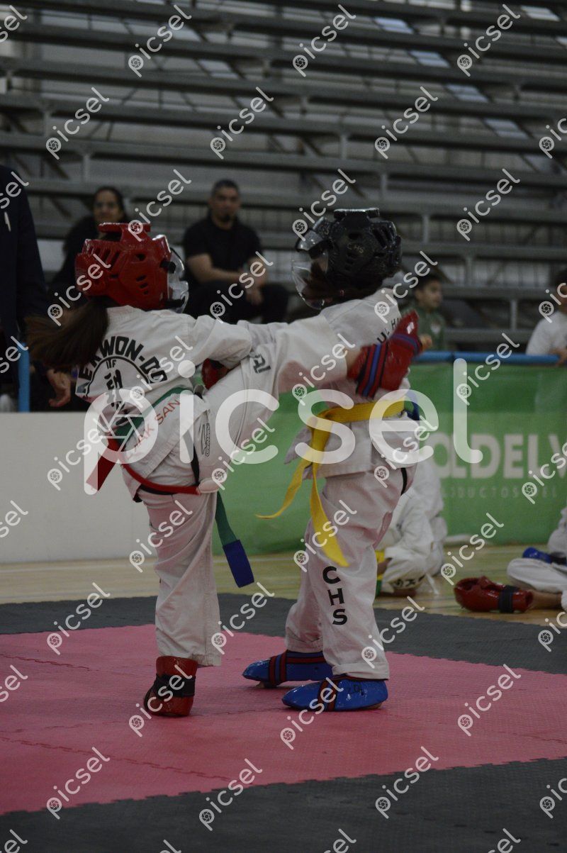 Photo of qrc6x4q2b7hojtupx19u70fa