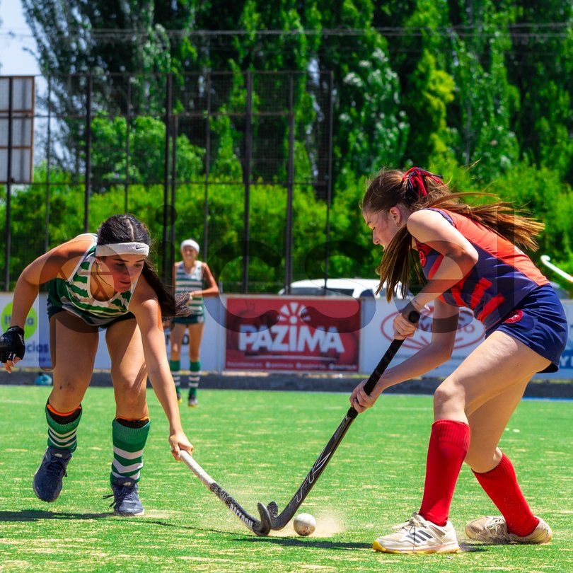 Photo of vqdn90zpa77a7t6xlb0z9gcs