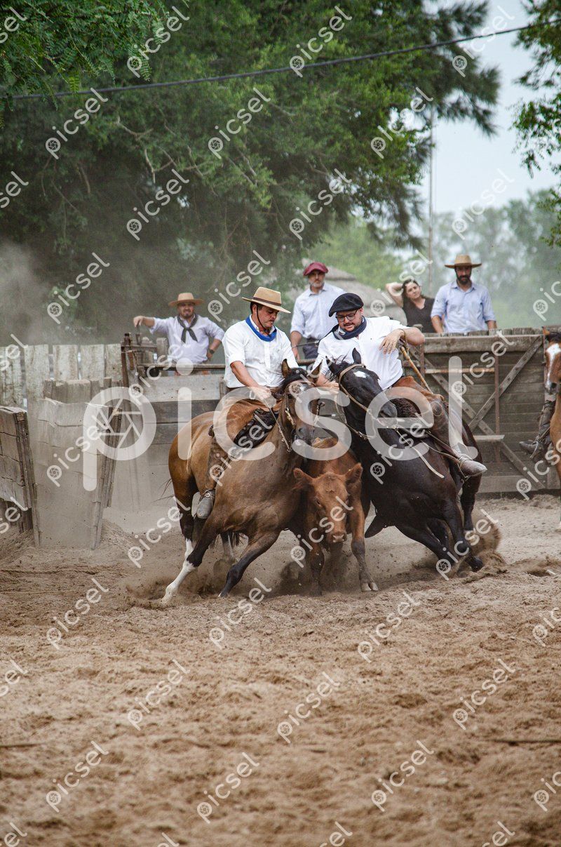 Photo of wkt4xqptbpw7d58lpp8lxtjp