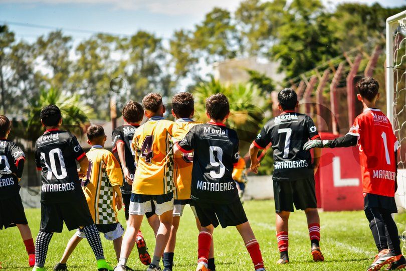 Photo of qhjxh53zxwlgqqoyscz09smd