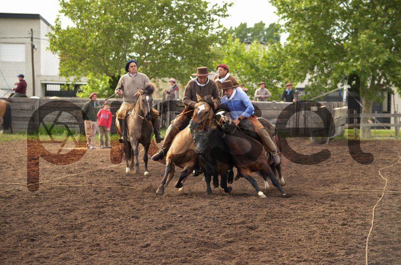 Photo of ybp1wf37132x0wzgilon3wba