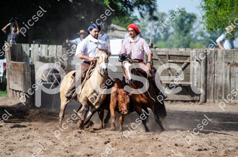 Photo of ghyn160pxyezbgbngnbqsuoe