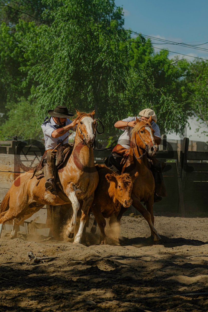 Photo of x7wgika99380g83lc94kws9n