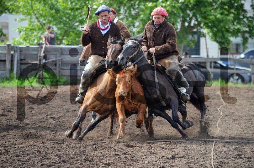 Photo of e8v70prlcmqxbcg52rio41ub