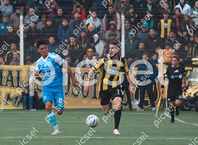 Photo of x62788thru6p4od8gp5p46f1