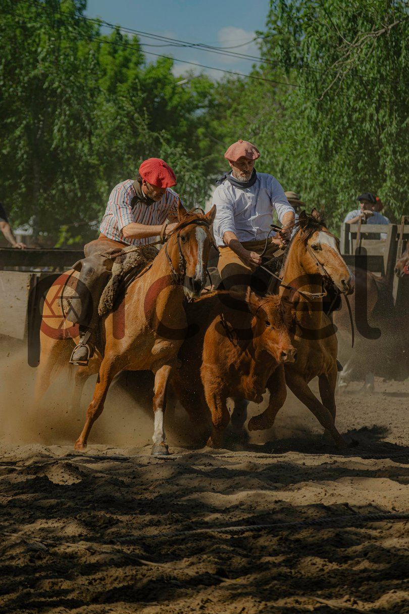 Photo of xlu4ki5gdvi2064vrkt2jqwr