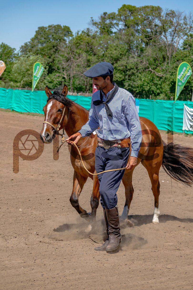 Photo of gl66reiv4adl2w2yo88nbpno