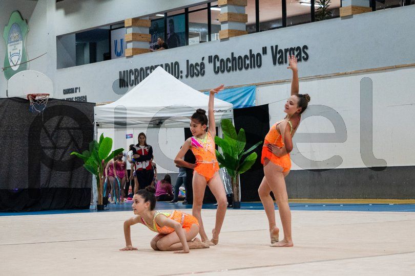 Photo of tbb95pkrklsk7bk1tnf6rcp7