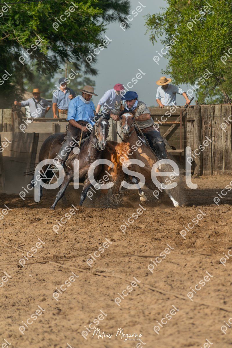 Photo of tui61s7lhveak9yq4e00dj20