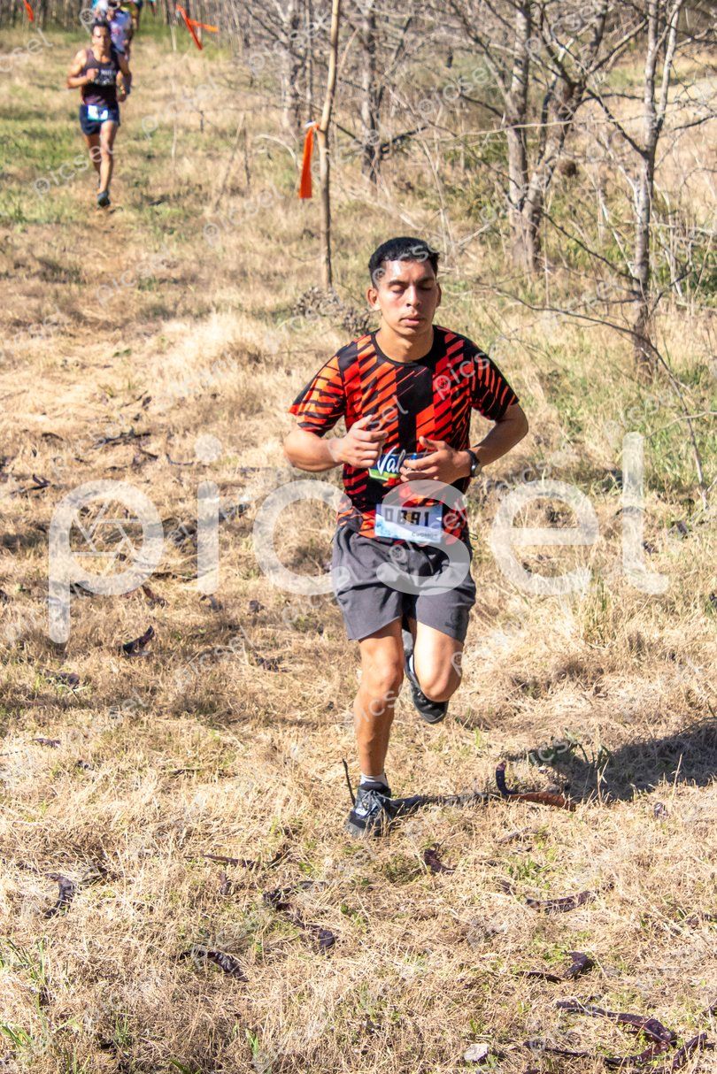 Photo of vwae925mino46p2te6ulduqa