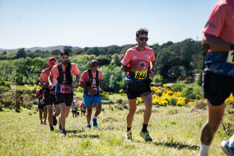 Photo of itpddcikurzh0f319kokt31c