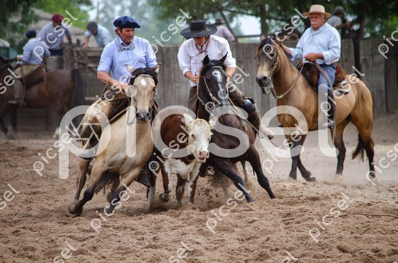 Photo of h8lt4qyqcpp3ytkvgwvlmkeo