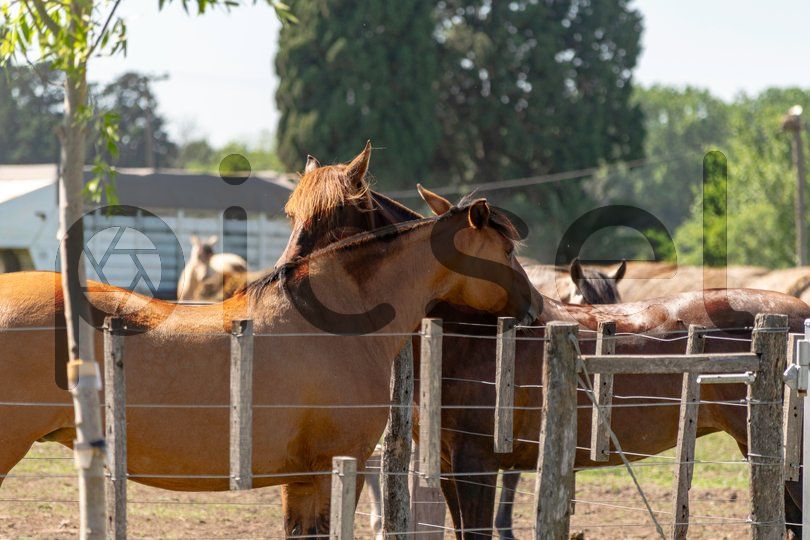 Photo of be6j4l6x4uccqdxd0x6fhj08