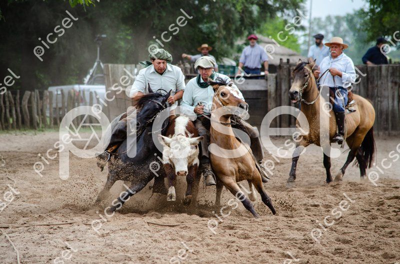 Photo of u607vucm7qy52390e01ipo1d