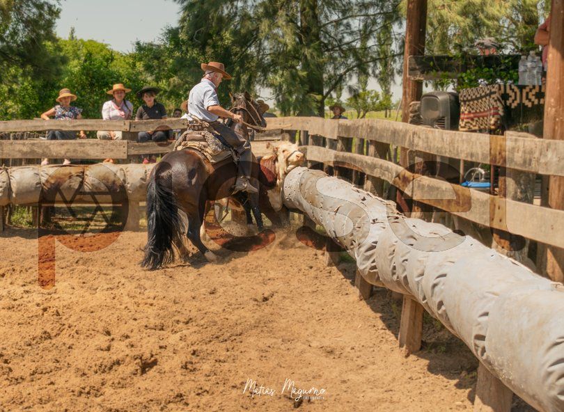 Photo of xtxzjkq0v3lsmod34tq3espr