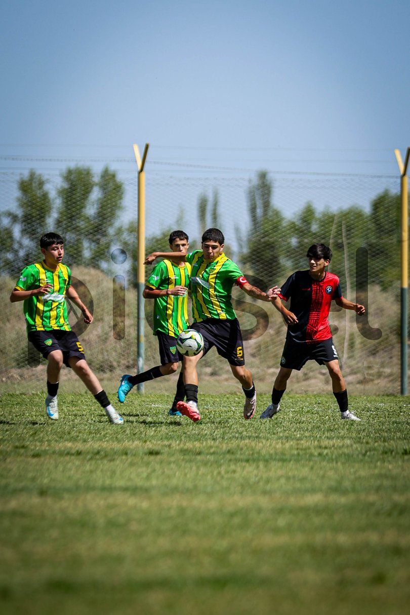 Photo of in1lgdyzye76sac6xwg8v8rd