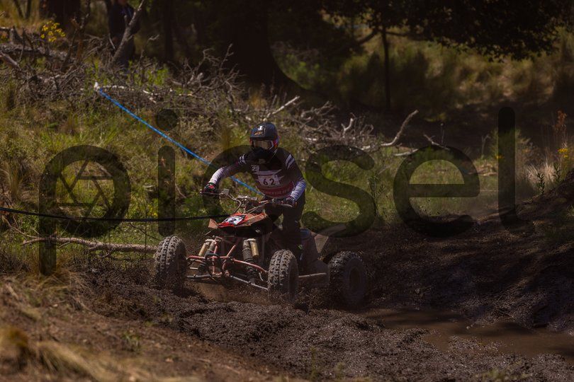 Photo of y7rz936spnklfqw4he2wcrz0