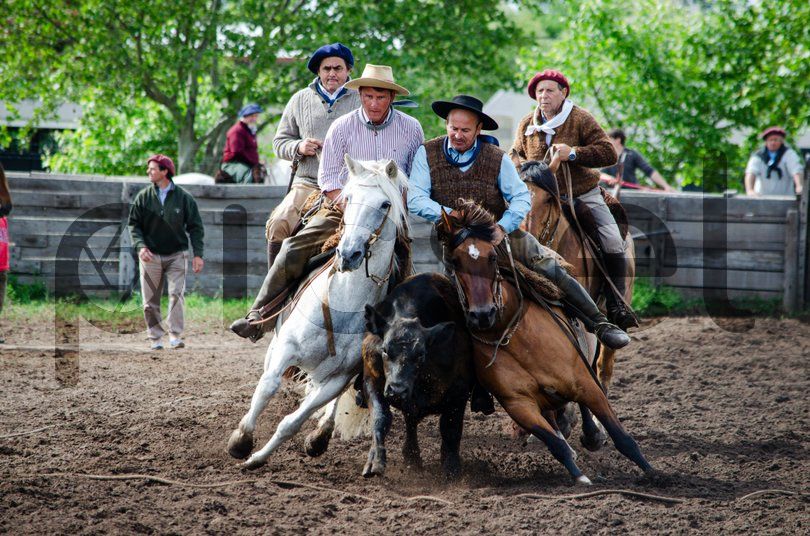 Photo of rcmdbnst5yaogyk51ya054s4