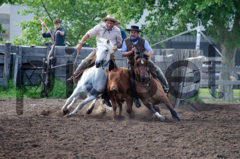 Photo of tw3jisv8xxrbur1uq7g7we6f