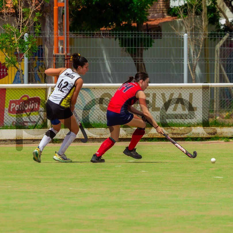 Photo of r8hk41flo85vadzhubutqrgk