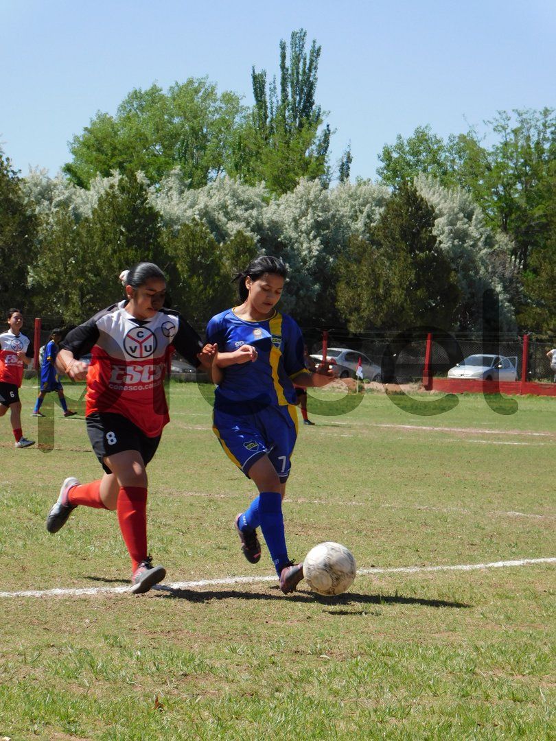 Photo of m5afpfaq8owttptkgy580ni1