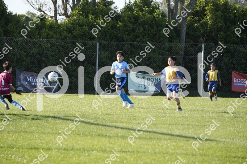 Photo of wqnpigknuhaa109karsnu2tk