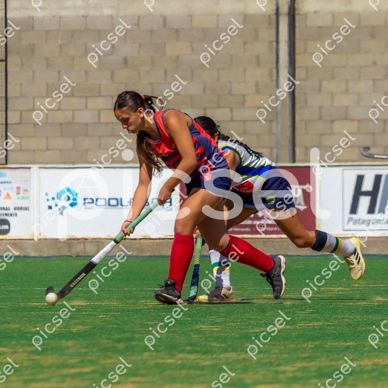 Photo of cc9ia7e0p75fevxs0fa4aehi