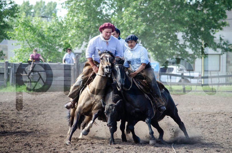 Photo of k12ux3wxx29jiycn9yos3p8q