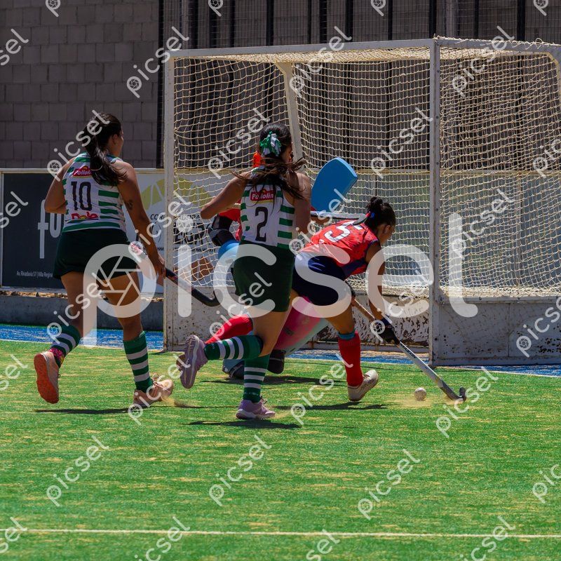 Photo of fz3daw0hp5eimyus8fz3kvz6