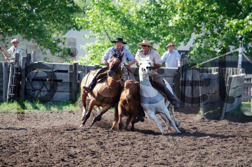 Photo of u07y7gni2k1ky4282ob4mw2b