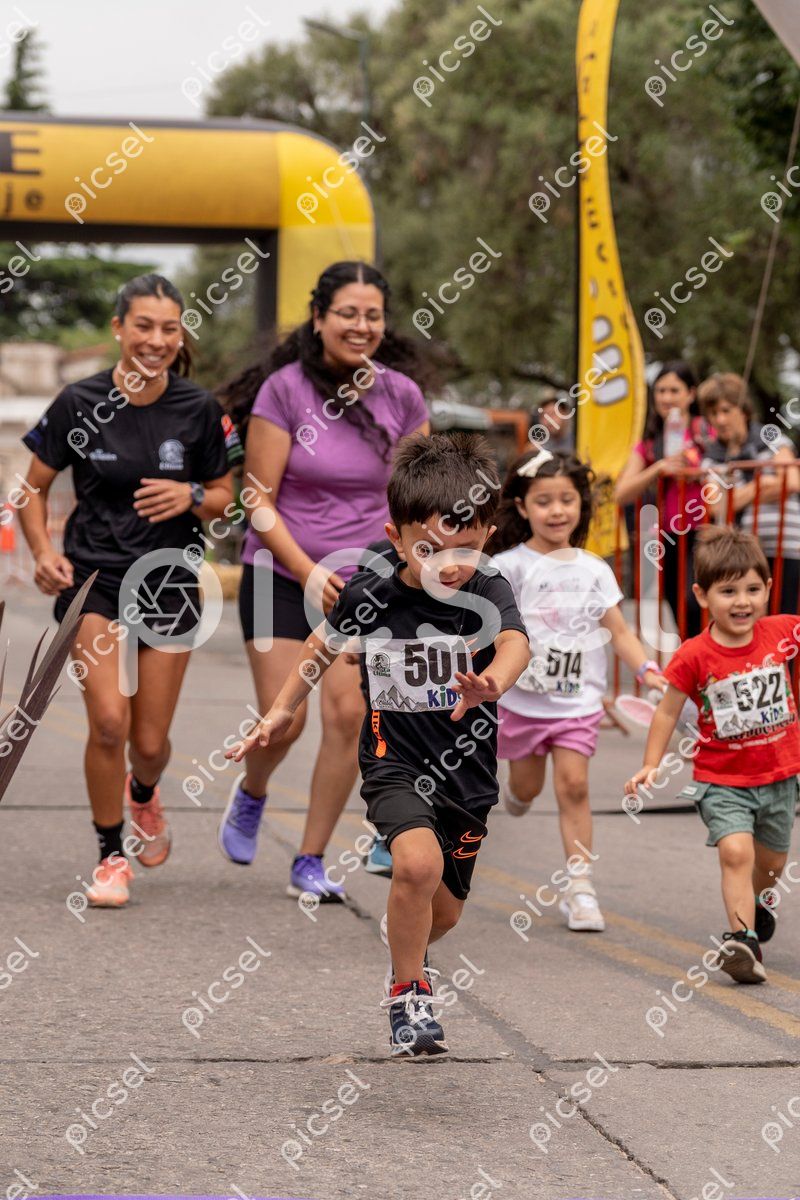 Photo of w4r95n5d6k9ytdoc1oumt0ff