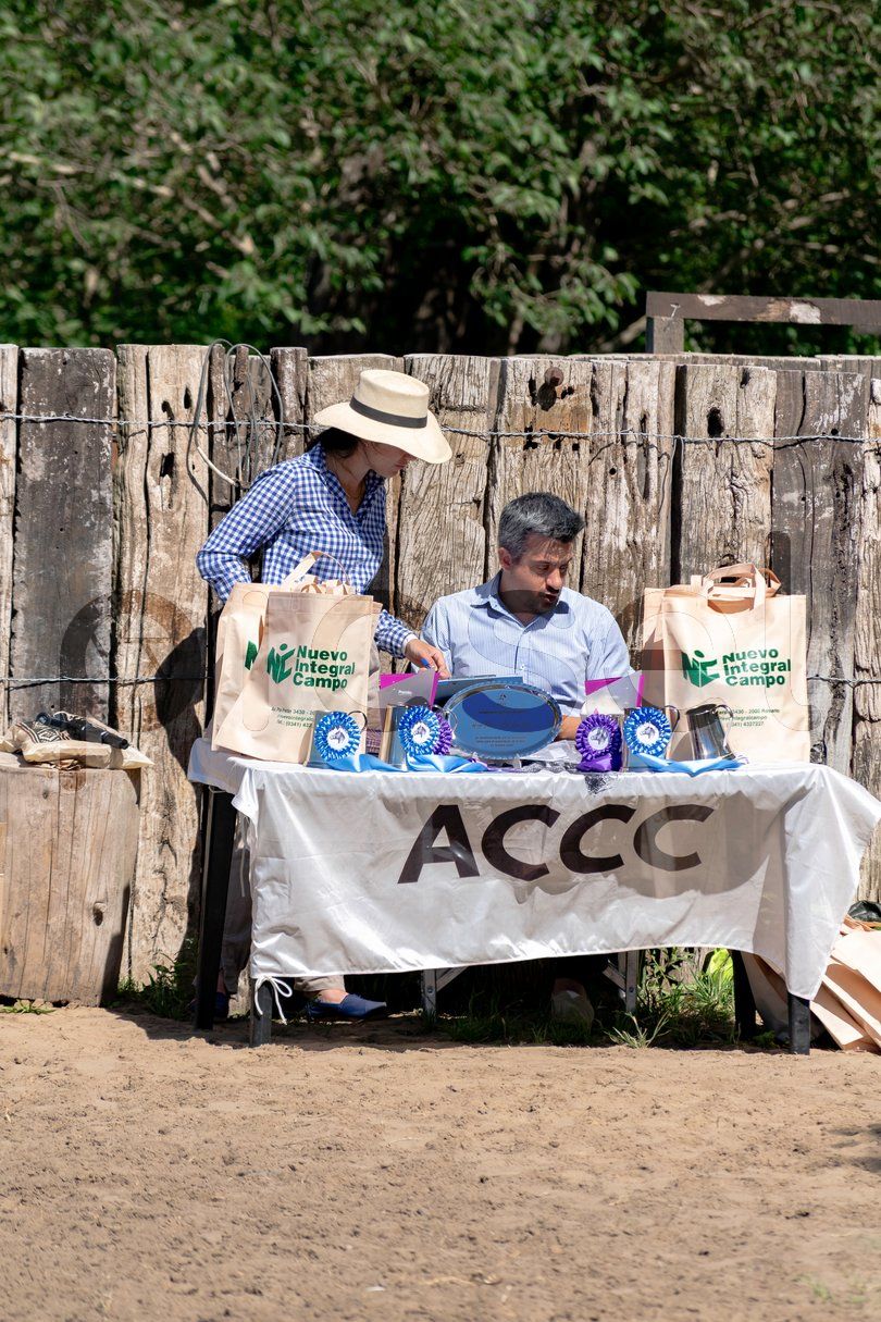 Photo of felq44phh8amqjcqtc0leot8