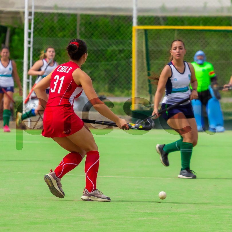 Photo of pq2slqmjkhlwve80y0vfei33