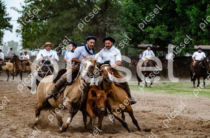 Photo of iutsqoqbfwaxlc0oiwc6eddf