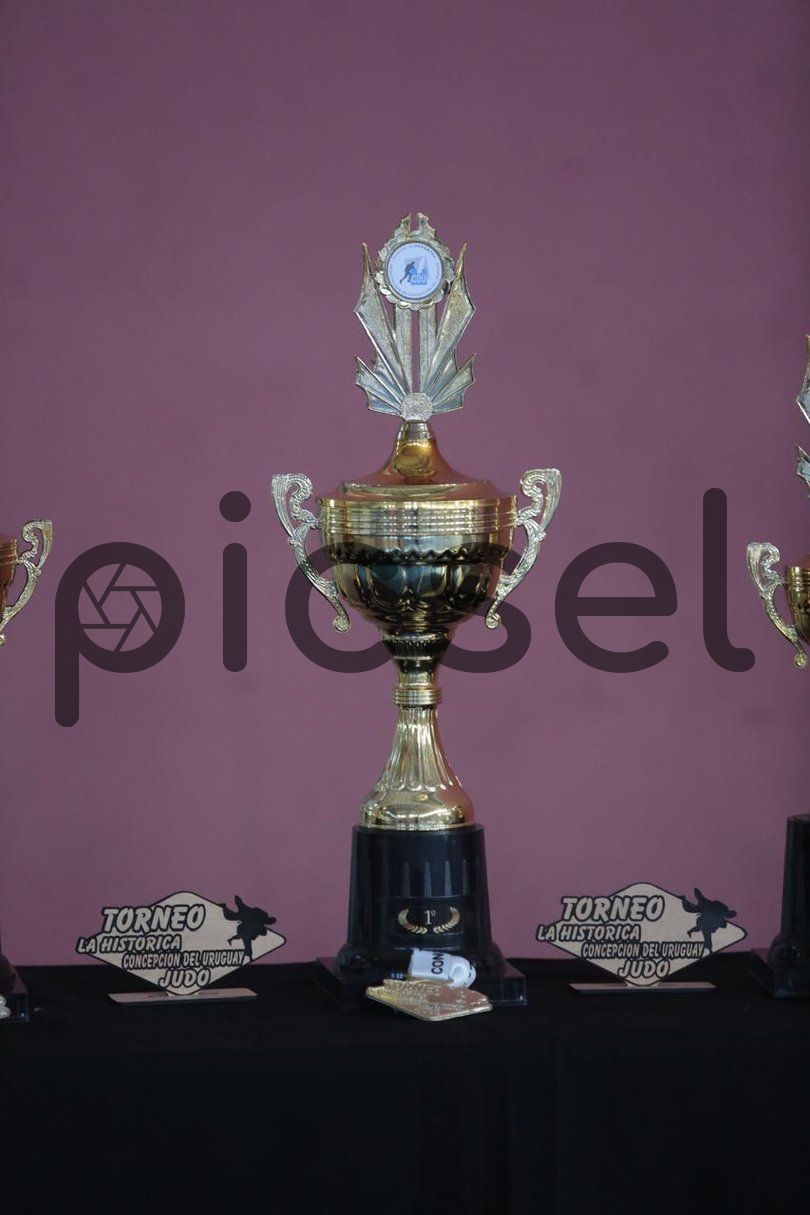 Photo of inpws61swn5u1fcjg0jry5ia