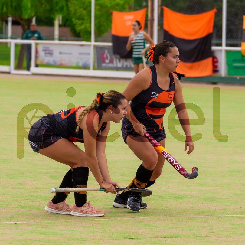 Photo of v7cdwzi64phogjphbfg3ag02