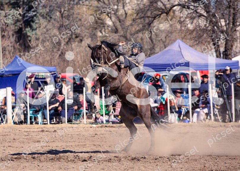 Photo of lc7gwwq7dpui5bezlhq2sea3