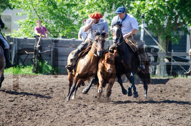 Photo of v1dm3qwx3qa4ve2p77kjhery