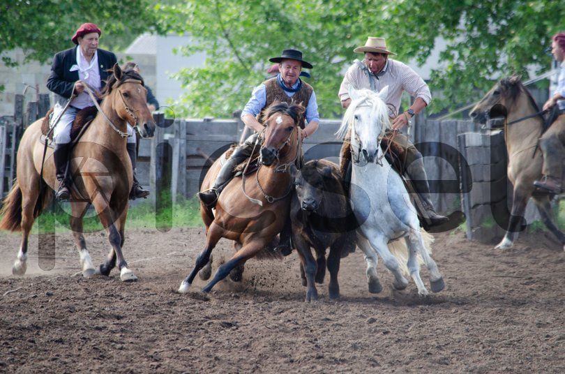 Photo of duz1hnx9k4dtvnj471fj7m3p