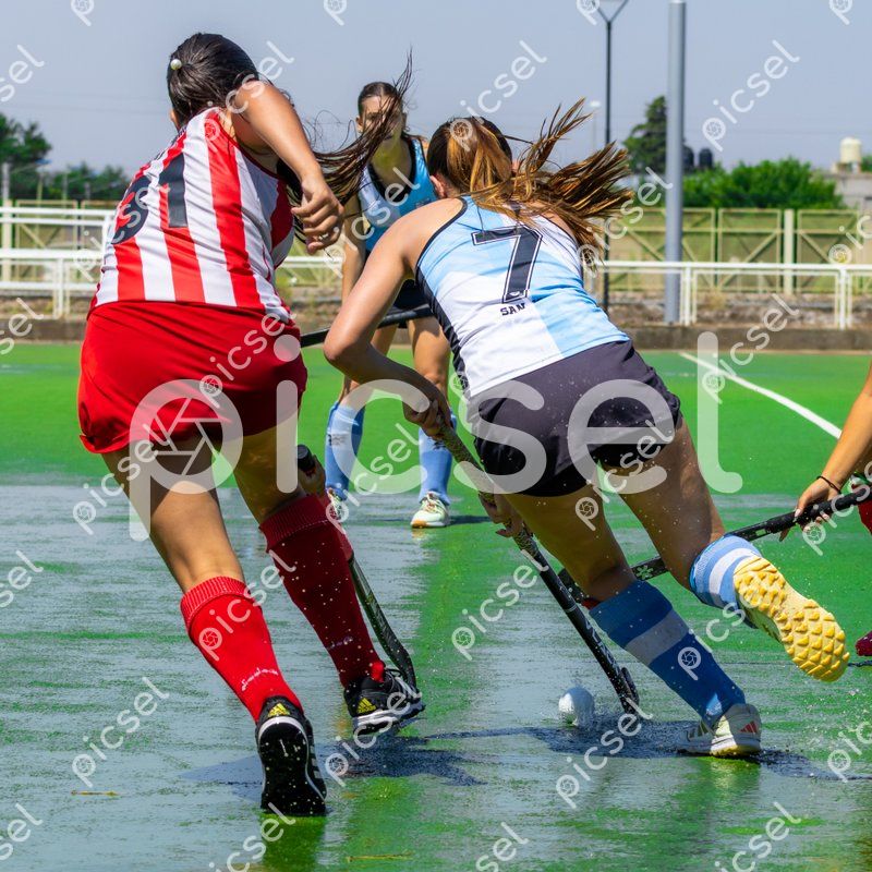 Photo of mdvqnad1yfgagrtnx3s80ts0