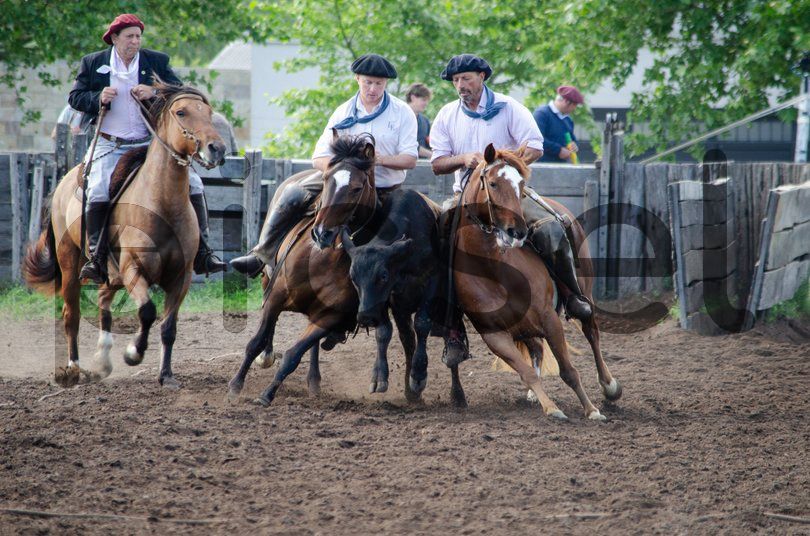 Photo of q5xbrk6y032280s4aj8q3a2j