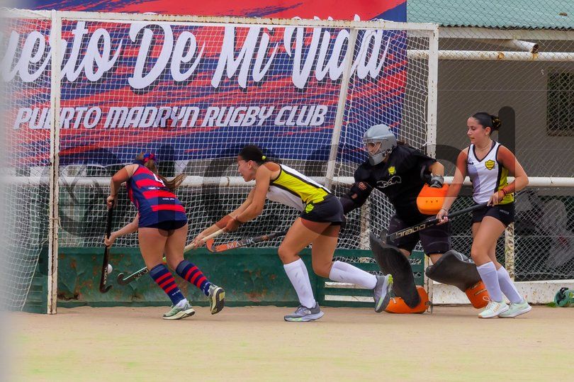 Photo of untmo4g54fki53ru3jc14vl3