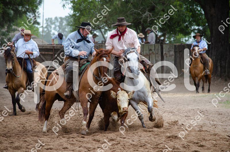 Photo of yaspj3v31wtjj11bhijegol3