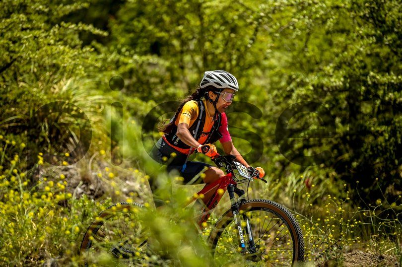 Photo of i5auve3xlbp1m6l1c8olvsjn