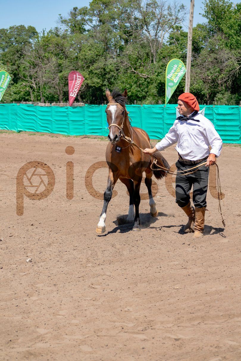 Photo of a2325nnjic09uif67sxbo99a