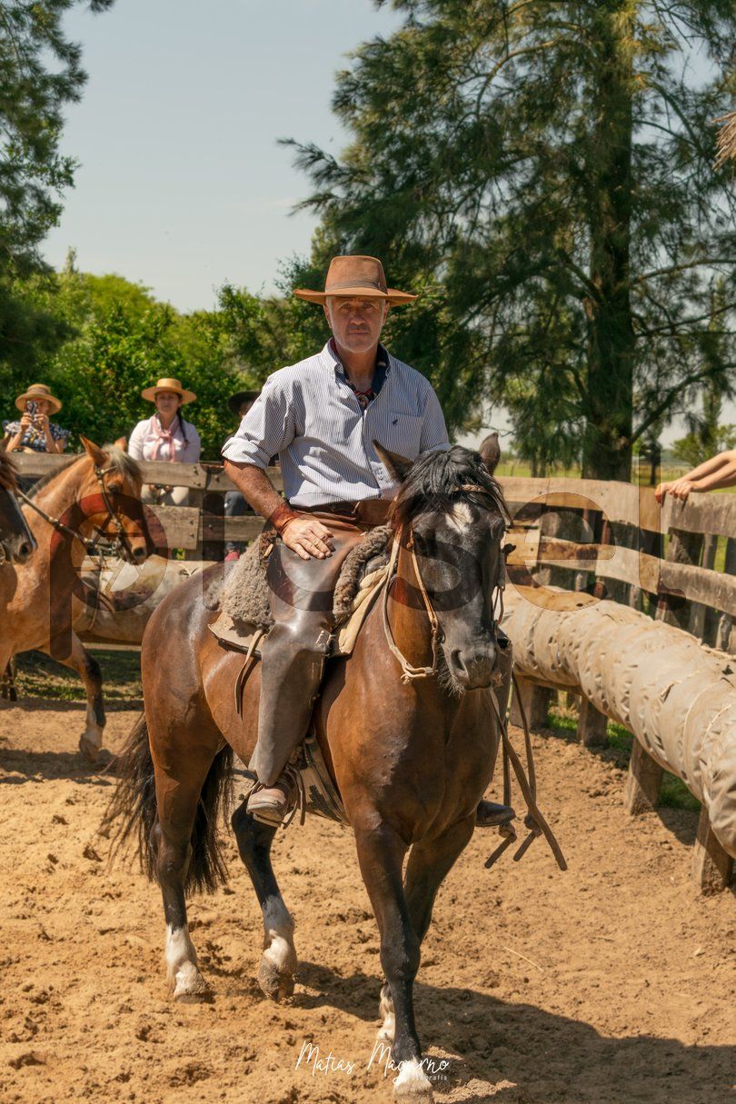 Photo of skd73g0hinavipoltdu2hxic