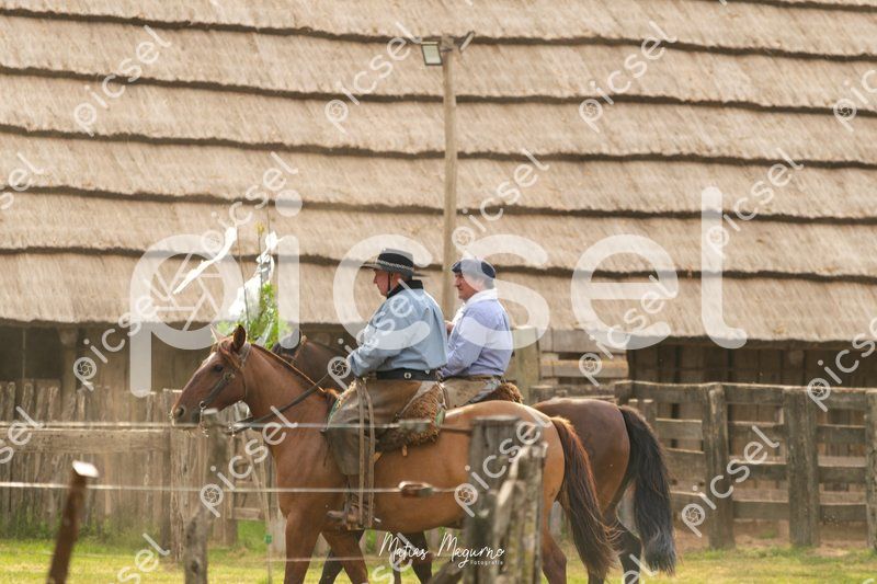 Photo of bzn4hkjnfp51an65j8luo9mh