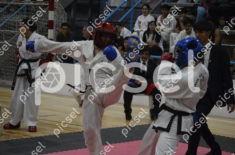 Photo of iromk3qrm8hh8jdjlkvh6m3j