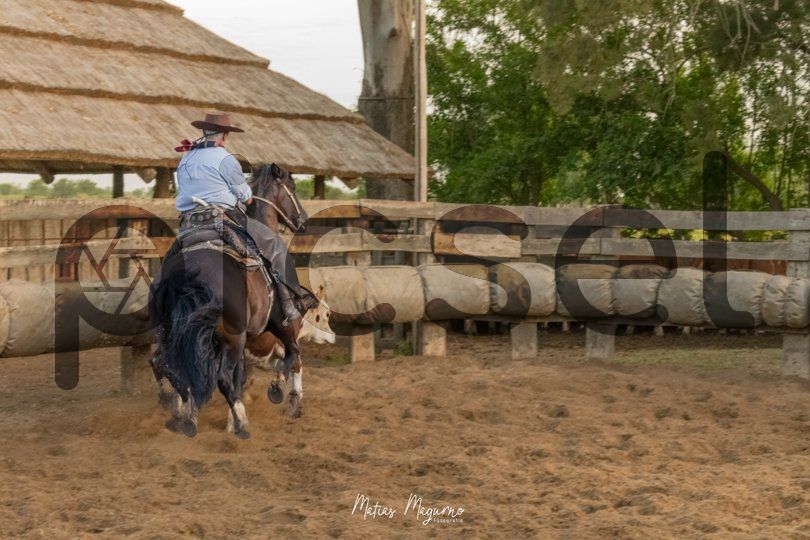 Photo of djy8rm6fmdg5mypfs7sv2t2q