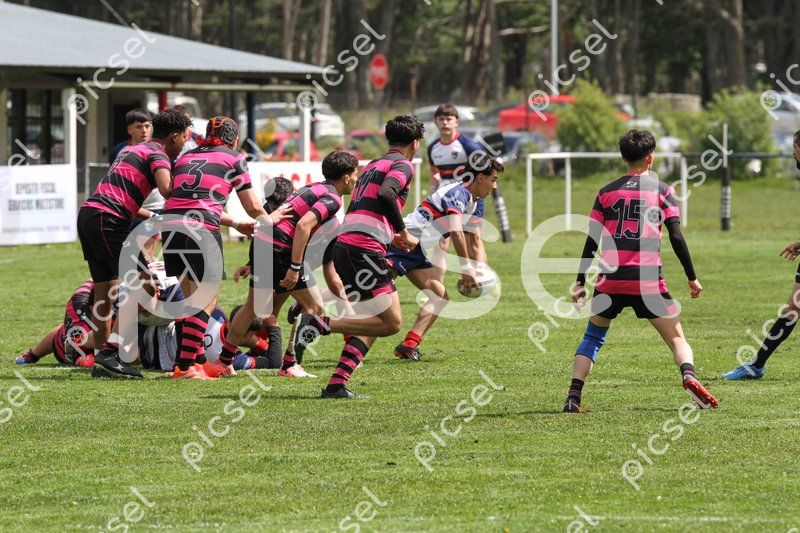 Photo of v0cis3hld3nytvb6g2hfx0kb